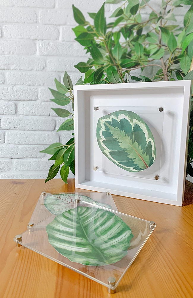 Wholesale-Gallery-04